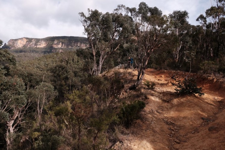 DSCF4113 (Medium).JPG