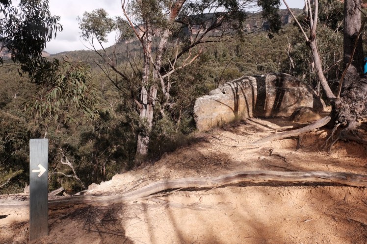 DSCF4114 (Medium).JPG