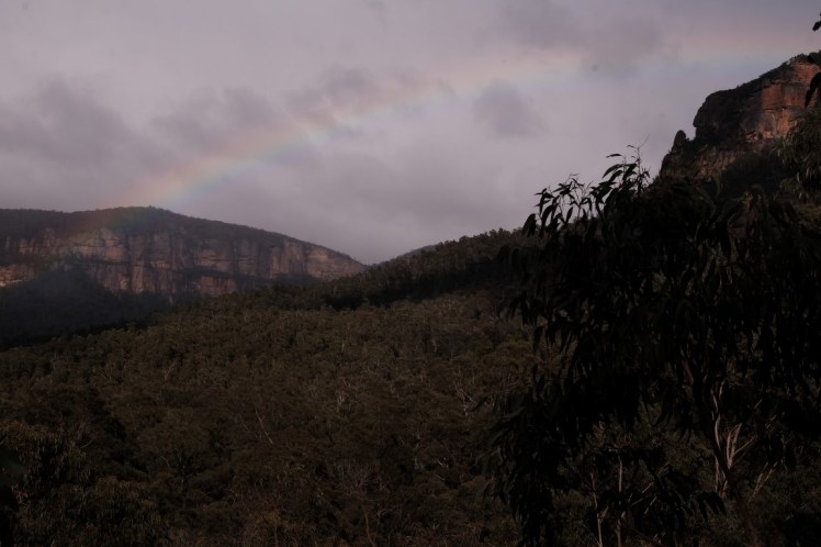 DSCF4117 (Medium).JPG