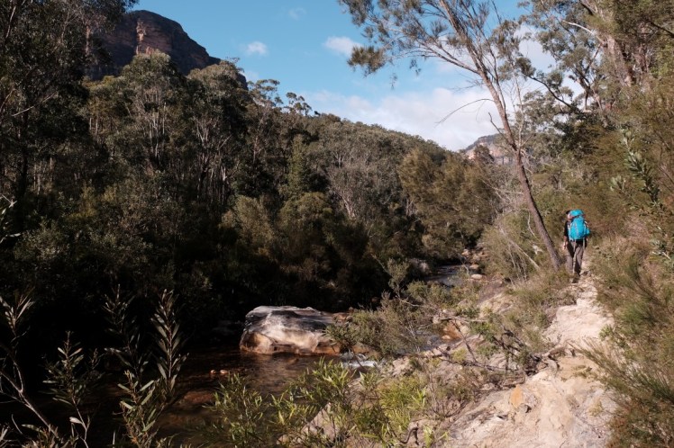 DSCF4139 (Medium).JPG