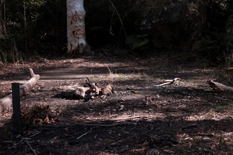 DSCF4146 (Medium).JPG