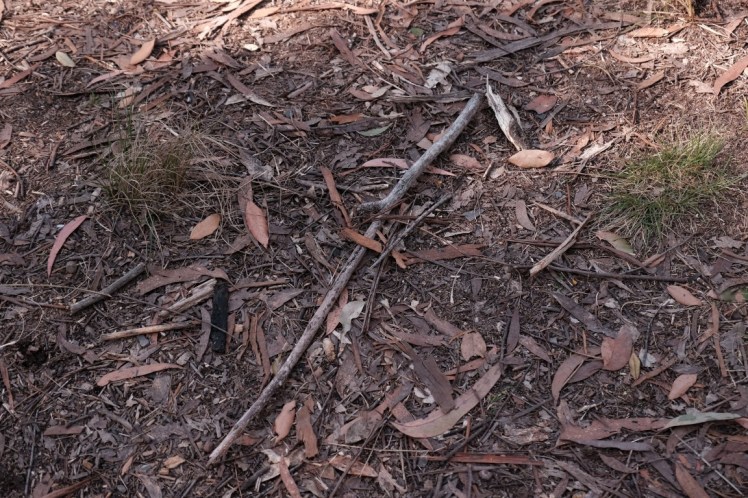 DSCF4149 (Medium).JPG