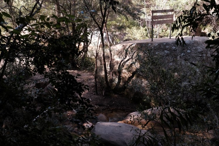 DSCF4151 (Medium).JPG