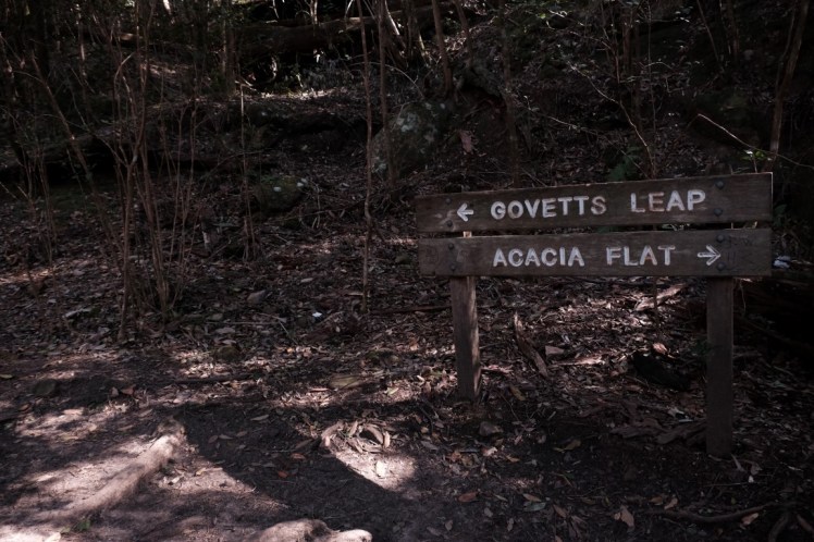 DSCF4153 (Medium).JPG