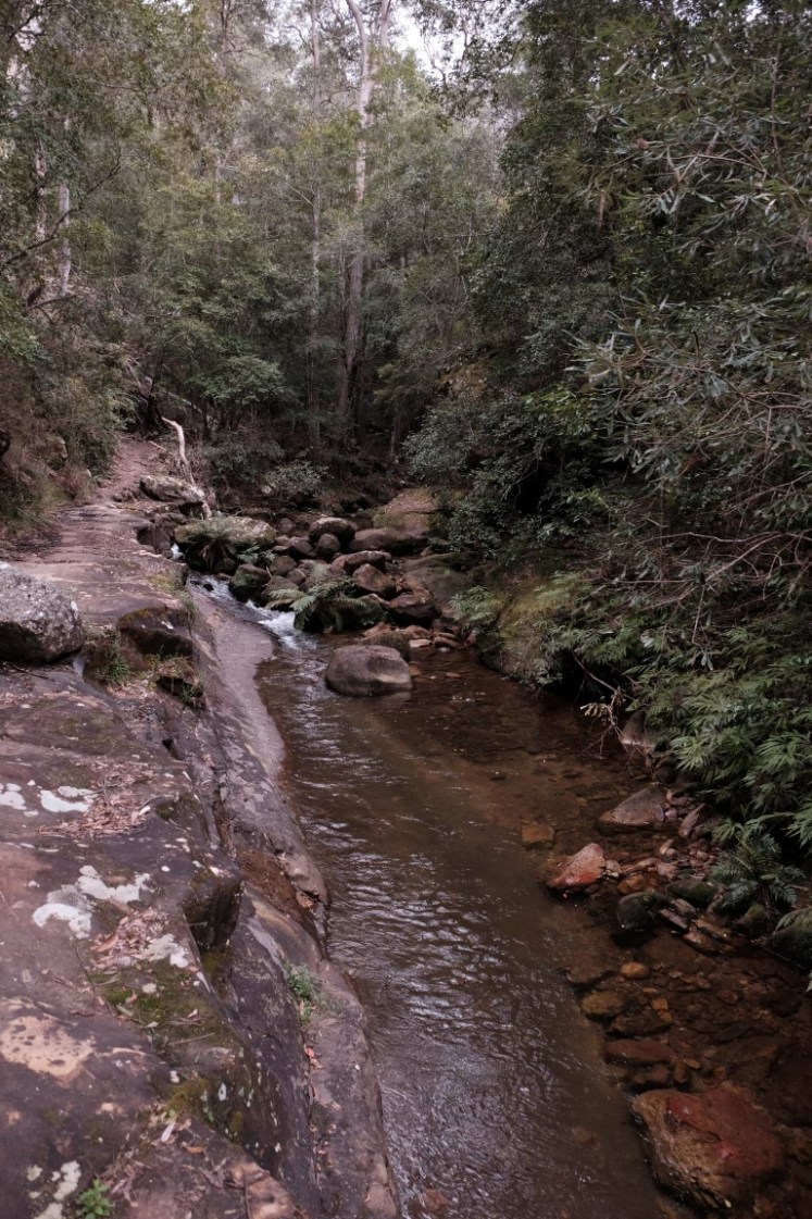 DSCF4169 (Medium).JPG