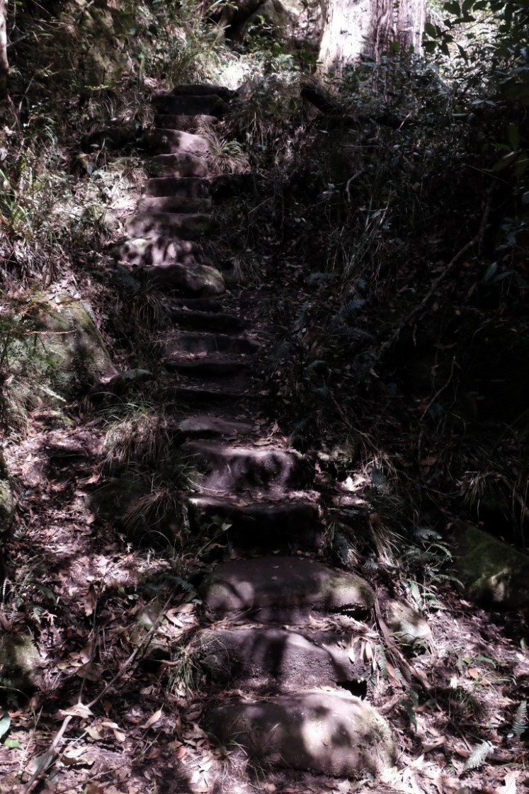 DSCF4187 (Medium).JPG