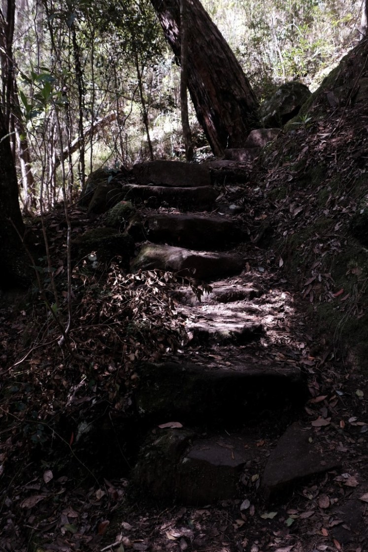 DSCF4204 (Medium).JPG