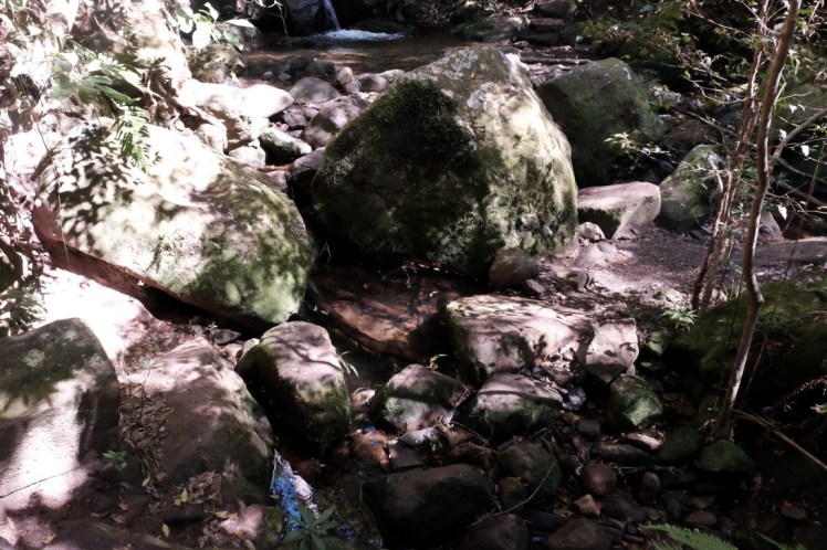 DSCF4210 (Medium).JPG