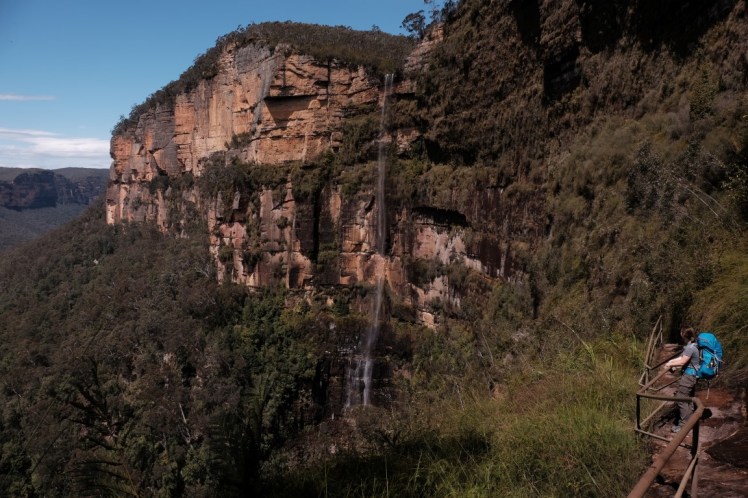 DSCF4276 (Medium).JPG