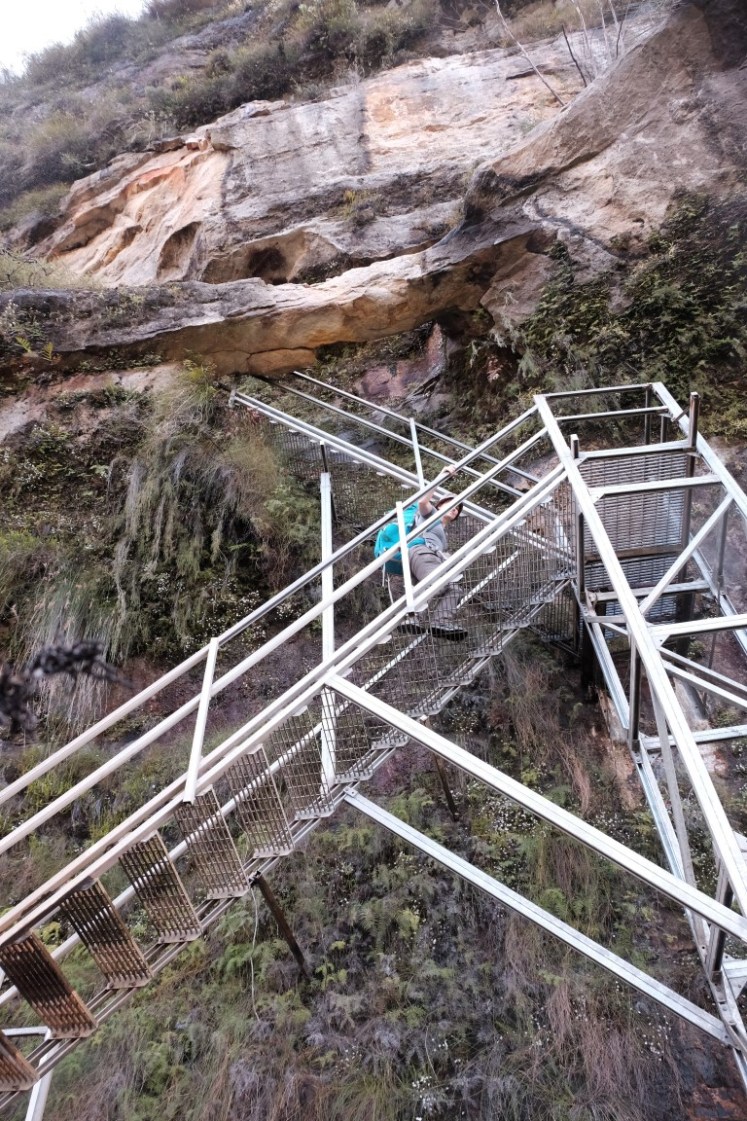 DSCF4300 (Medium).JPG