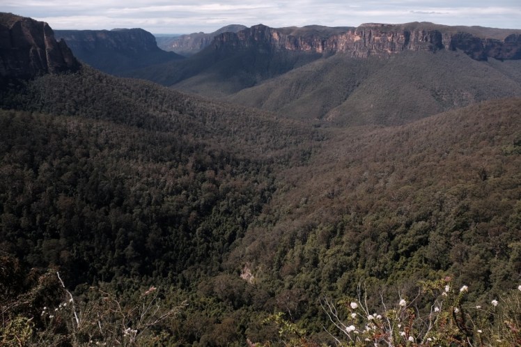 DSCF4302 (Medium).JPG