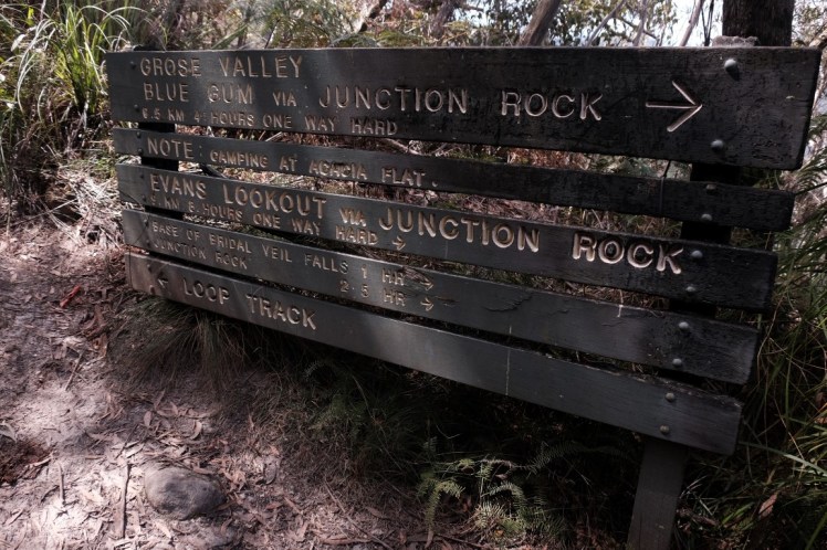 DSCF4317 (Medium).JPG