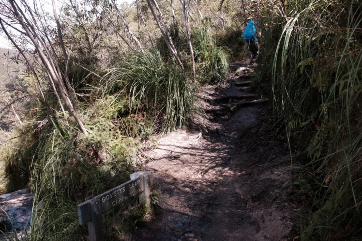 DSCF4318 (Medium).JPG