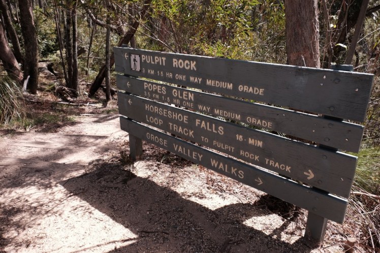 DSCF4319 (Medium).JPG