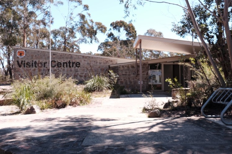 DSCF4336 (Medium).JPG