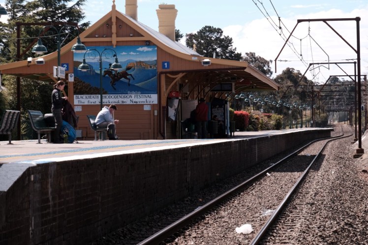 DSCF4372 (Medium).JPG