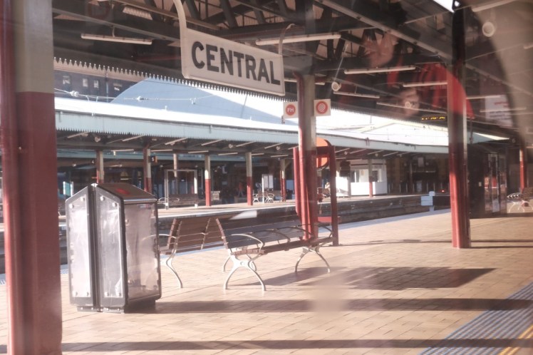 DSCF4382 (Medium).JPG