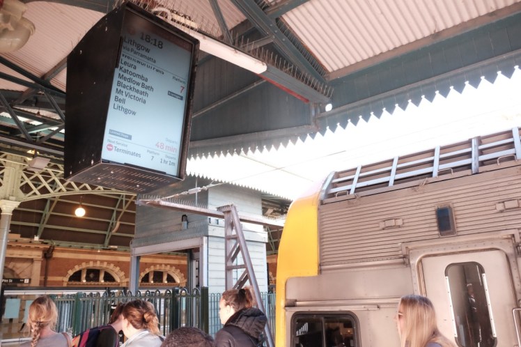 DSCF4383 (Medium).JPG