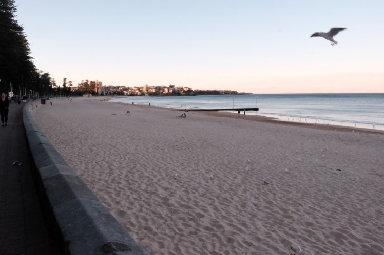 DSCF4422 (Medium).JPG