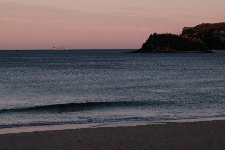 DSCF4427 (Medium).JPG