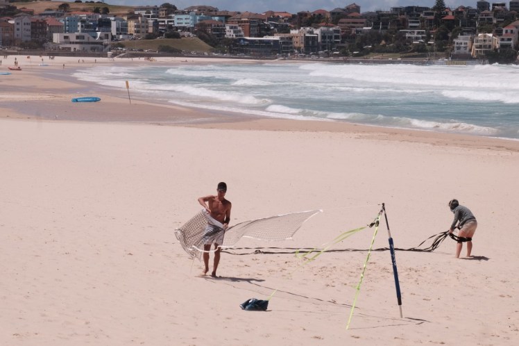 DSCF4559 (Medium).JPG