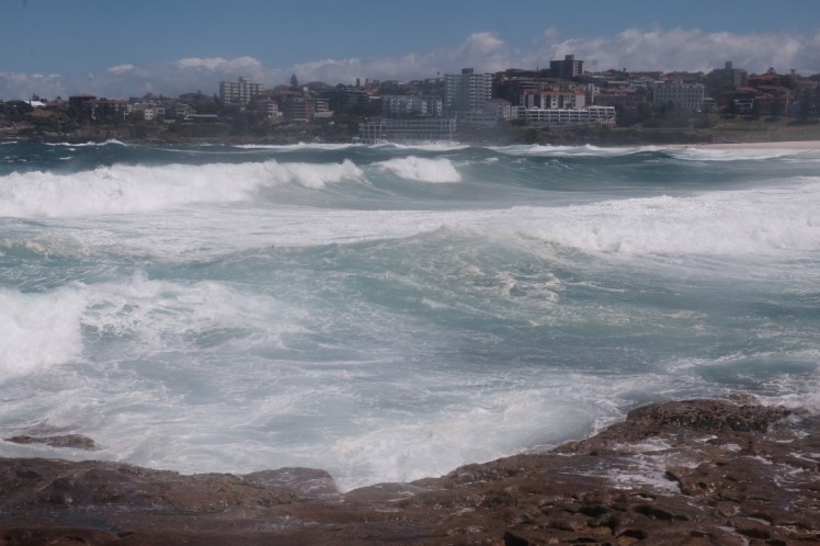 DSCF4588 (Medium).JPG