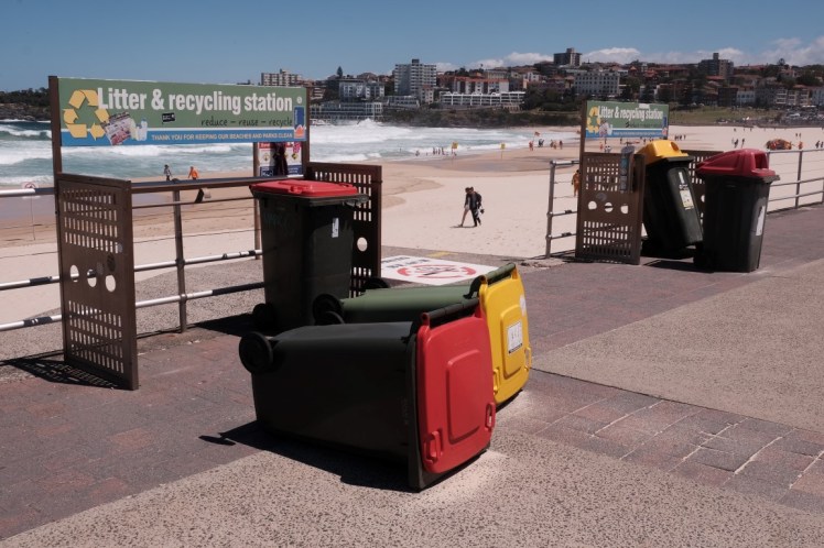 DSCF4596 (Medium).JPG