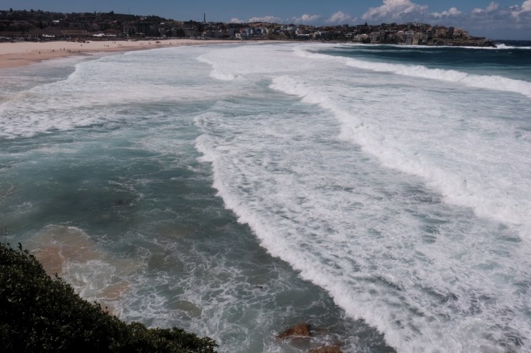 DSCF4615 (Medium).JPG