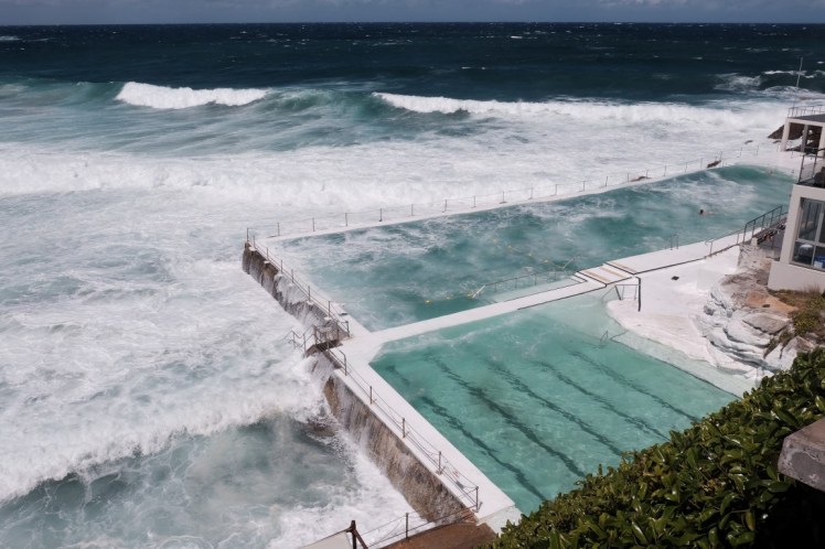 DSCF4620 (Medium).JPG