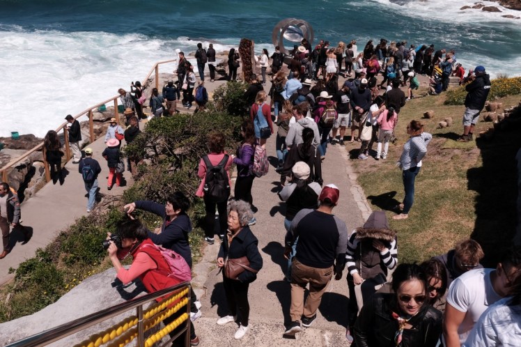 DSCF4625 (Medium).JPG