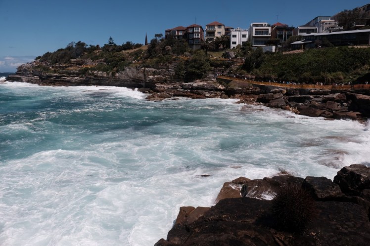 DSCF4632 (Medium).JPG