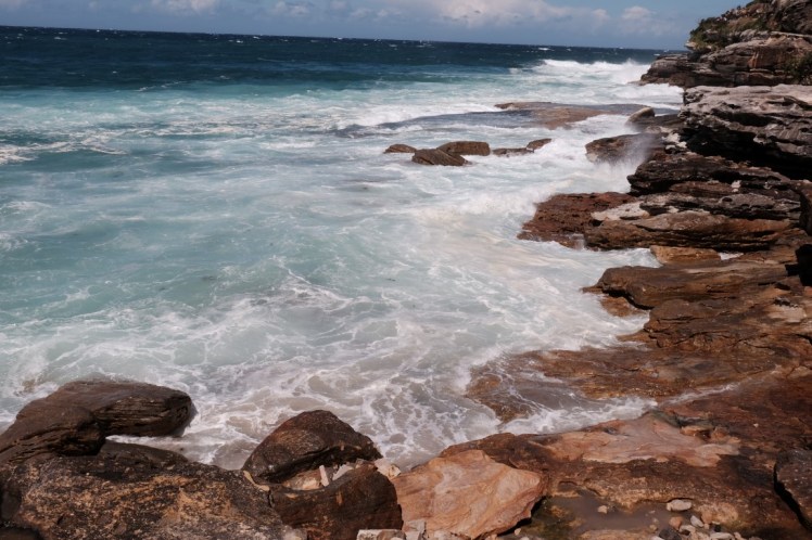 DSCF4647 (Medium).JPG