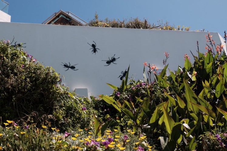 DSCF4650 (Medium).JPG