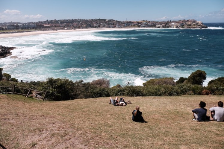 DSCF4651 (Medium).JPG