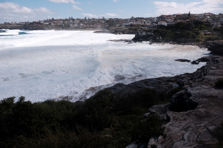 DSCF4818 (Medium).JPG