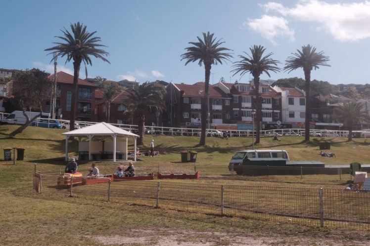 DSCF4932 (Medium).JPG