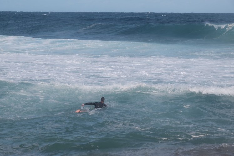 DSCF4934 (Medium).JPG