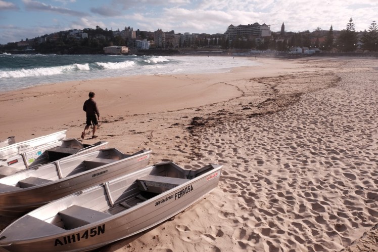 DSCF5009 (Medium).JPG