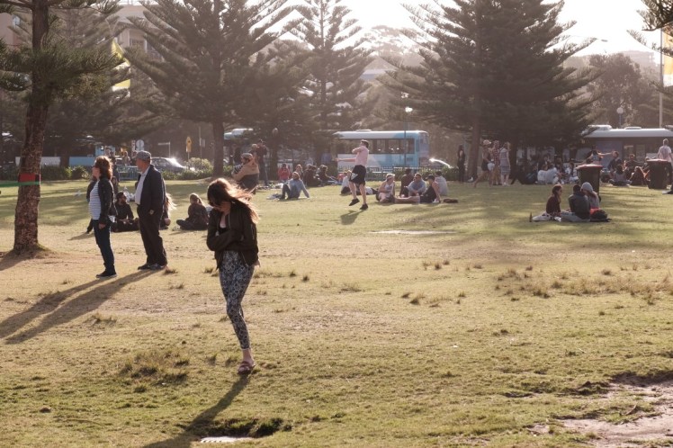 DSCF5032 (Medium).JPG