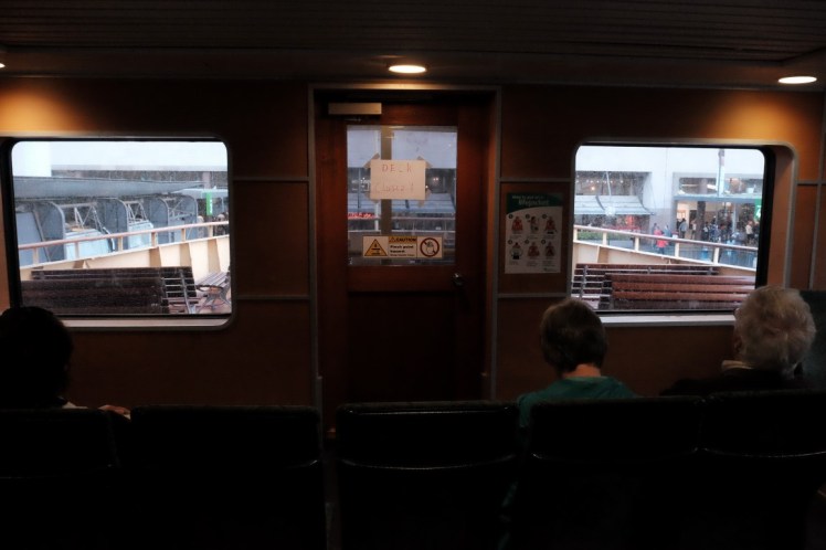 DSCF5039 (Medium).JPG