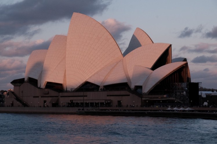 DSCF5041 (Medium).JPG