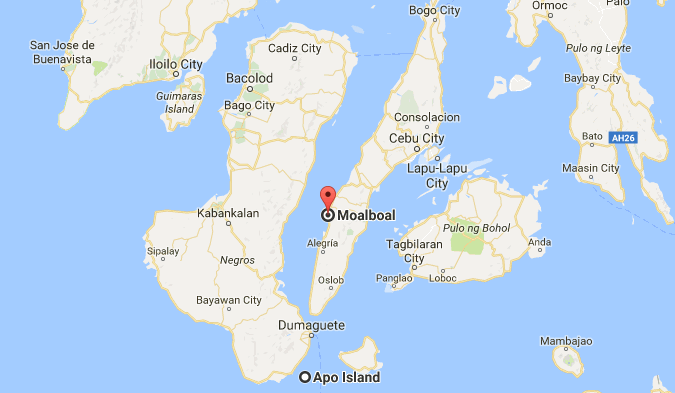 Apo Island to Moalboal.gif