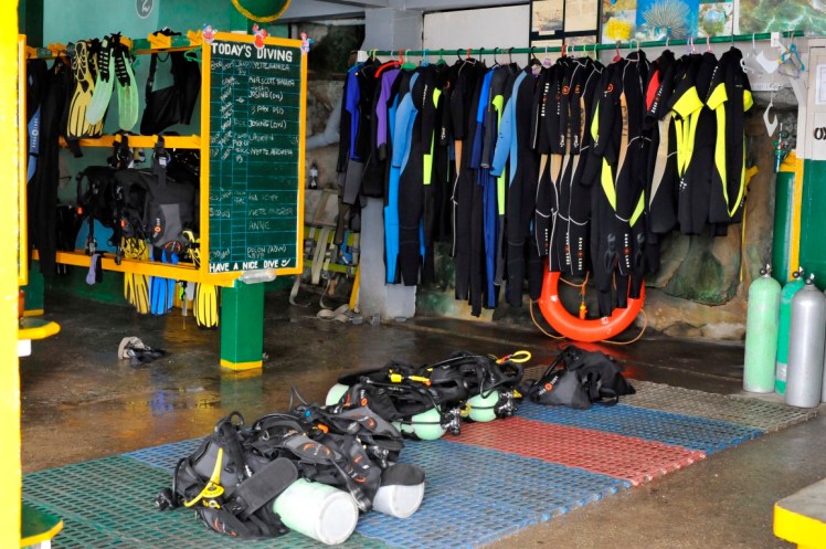 _DSC2577 (Medium).JPG