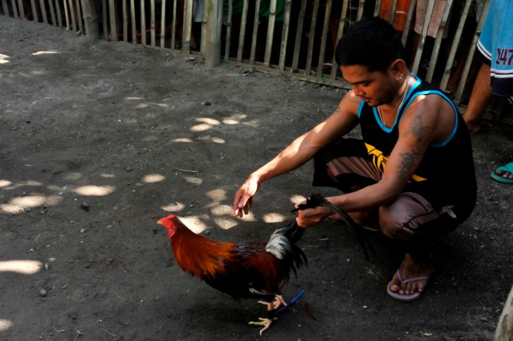 _DSC2595 (Medium).JPG