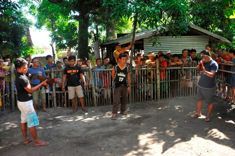 _DSC2601 (Medium).JPG