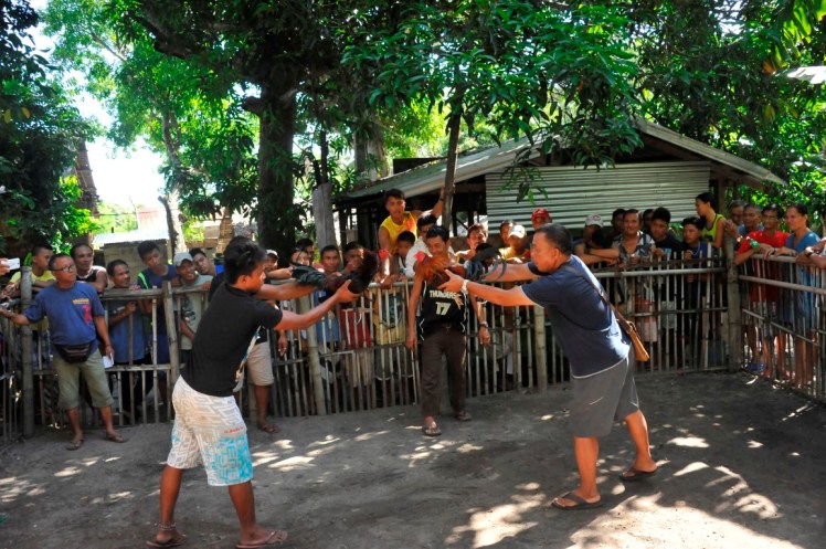 _DSC2602 (Medium).JPG