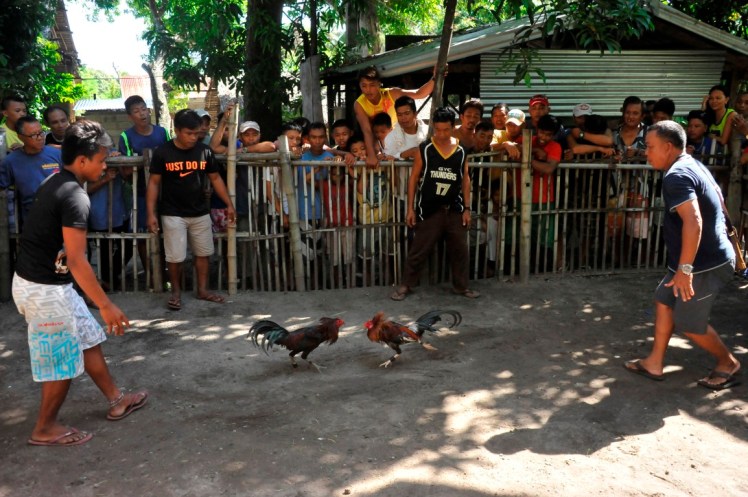 _DSC2603 (Medium).JPG