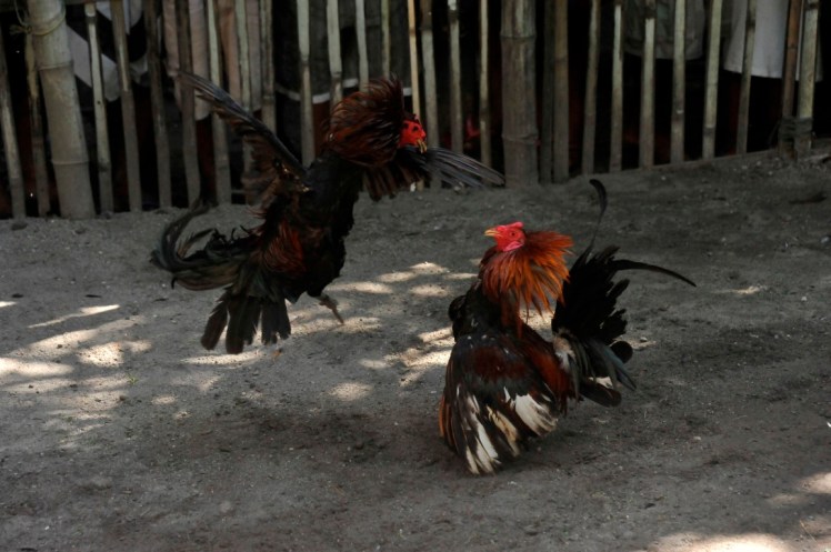 _DSC2613 (Medium).JPG