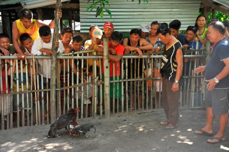 _DSC2625 (Medium).JPG