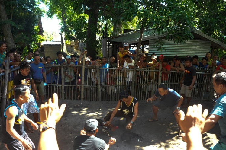 _DSC2632-2 (Medium).jpg